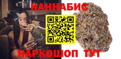 мдпв Тула