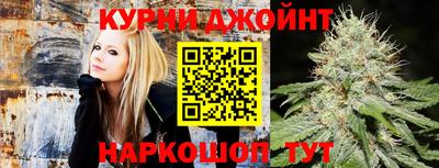 мдпв Тула